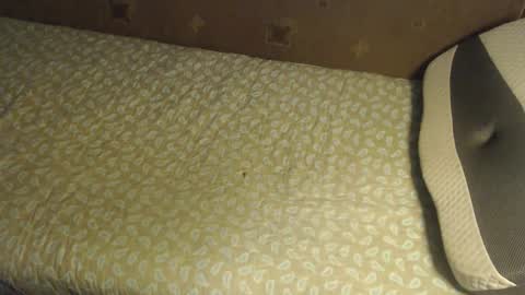 Lilly  online show from 10/20/25, 03:40