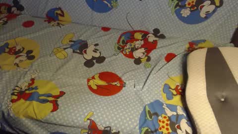 Lilly  online show from 10/25/25, 03:03