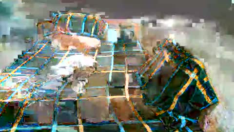 Snapshot of newest_star69 chatting on 01/07/25, 11:16 Lucy Pearl online show from 01/07/25, 11:16