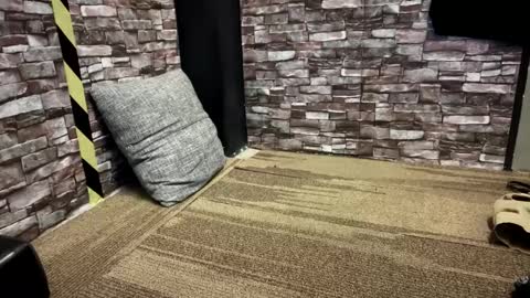 newzex66 online show from 01/23/25, 12:09