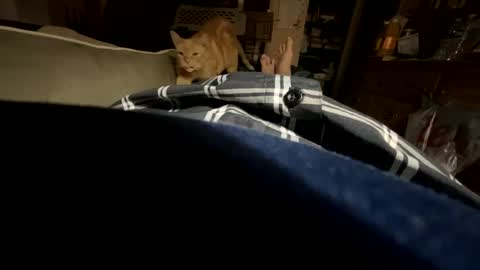 ngianop online show from 10/23/25, 07:40