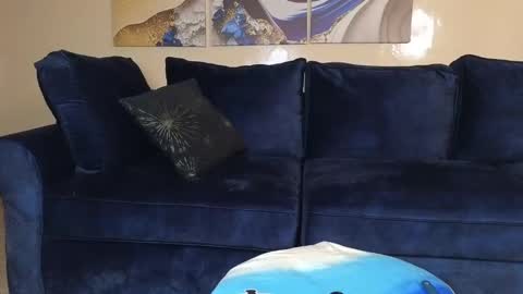 Lilly online show from 12/21/24, 11:33