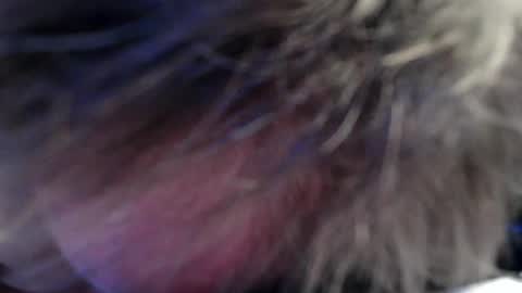 Jan online show from 07/11/26, 05:21