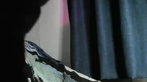 Black Tarzan online show from 12/22/24, 05:56