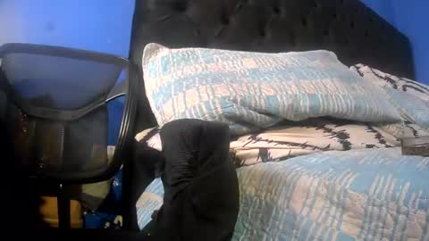 Snapshot of niceblkdnyc chatting on 03/19/26, 06:23 myniceblkdnyc online show from 03/19/26, 06:23