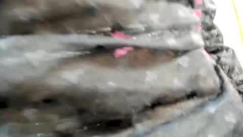 Snapshot of nicesweetwap chatting on 10/26/25, 09:31 Bianca online show from 10/26/25, 09:31