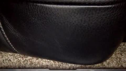 Snapshot of nick12989 chatting on 12/17/25, 06:19 nick12989 online show from 12/17/25, 06:19