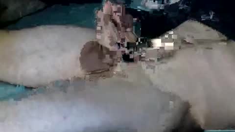 Nick online show from 10/12/25, 11:20