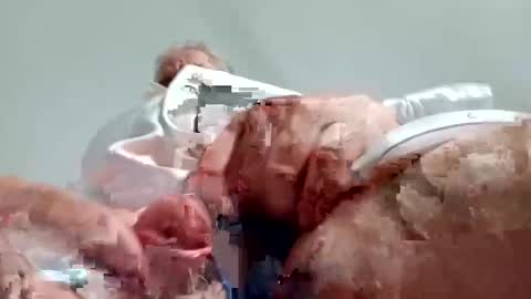 Snapshot of nickthefiddler chatting on 12/28/24, 08:58 TheCock online show from 12/28/24, 08:58