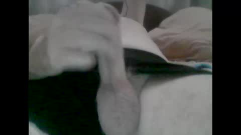 Snapshot of nickthefiddler chatting on 10/31/25, 05:19 TheCock online show from 10/31/25, 05:19