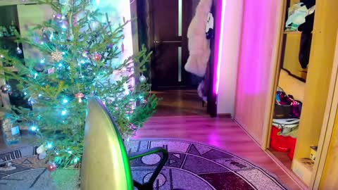 Snapshot of nicky_weekends chatting on 01/14/25, 12:00 Nicky Weekends online show from 01/14/25, 12:00