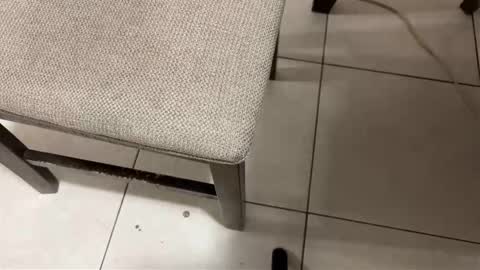 Carlos Nico online show from 03/14/26, 08:31