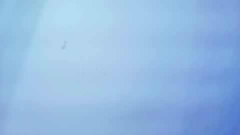 Nicolle online show from 01/19/26, 11:25