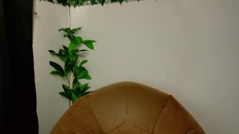 Snapshot of nicoleirisxxx chatting on 04/15/26, 05:25 nicoleirisxxx online show from 04/15/26, 05:25