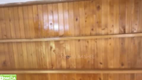 Nicoll  Independent model online show from 11/17/25, 05:13