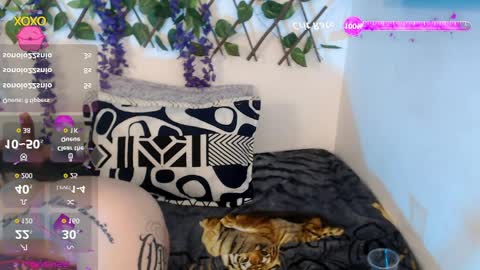 Snapshot of nicollegp chatting on 04/11/26, 10:25 Nicolle ardila online show from 04/11/26, 10:25