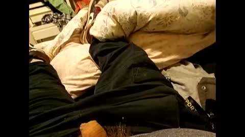 nigel1277 online show from 09/10/25, 08:36