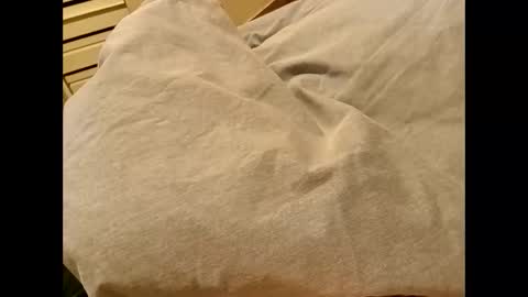 nigel1277 online show from 04/18/26, 08:51