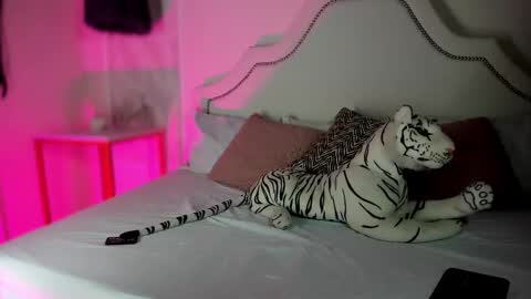 nicole online show from 02/05/26, 03:05