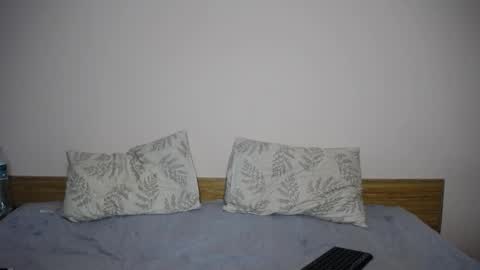 Snapshot of nika_web chatting on 03/11/25, 01:12 Nika online show from 03/11/25, 01:12