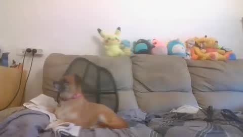 Brian and Logan Brogan online show from 10/16/25, 06:36