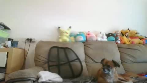 Brian and Logan Brogan online show from 11/19/25, 07:52