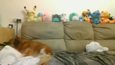 Snapshot of nikeair305 chatting on 04/17/26, 07:17 Brian and Logan Brogan online show from 04/17/26, 07:17