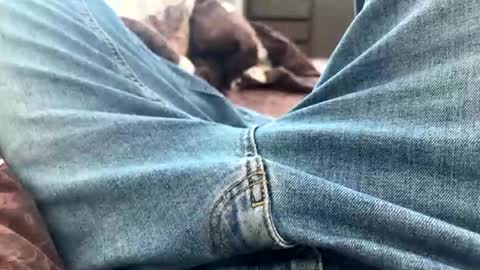 Snapshot of nikk3032 chatting on 02/25/25, 10:47 NIk online show from 02/25/25, 10:47