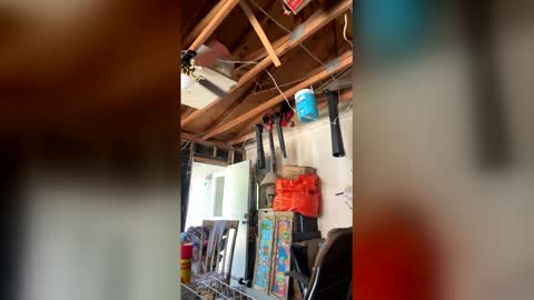 Snapshot of nikkietwotimes420 chatting on 04/03/26, 07:12 Nikkie online show from 04/03/26, 07:12