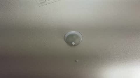 Snapshot of nikkimasters1091 chatting on 01/21/25, 09:46 Nikki Mastersgirl1091 online show from 01/21/25, 09:46