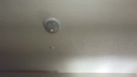 Snapshot of nikkimasters1091 chatting on 02/11/25, 10:48 Nikki Mastersgirl1091 online show from 02/11/25, 10:48