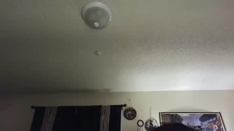 Snapshot of nikkimasters1091 chatting on 02/25/25, 02:00 Nikki Mastersgirl1091 online show from 02/25/25, 02:00