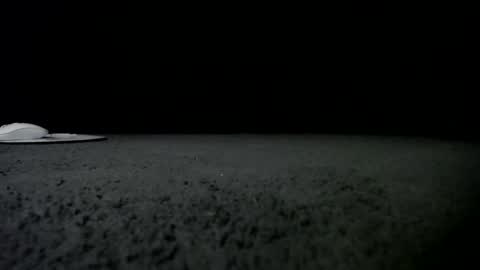 Niquita Sparkles online show from 01/24/25, 09:49