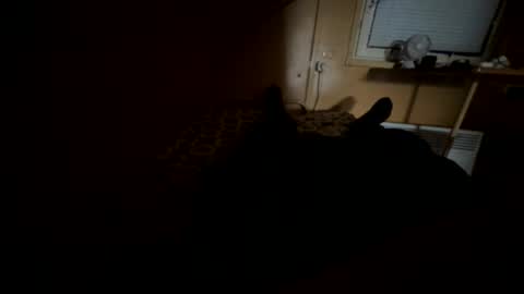 Snapshot of nikolay3032 chatting on 09/20/25, 08:37 Nikk online show from 09/20/25, 08:37