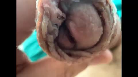 Snapshot of nikolay3838 chatting on 04/22/26, 09:22 Nikolay online show from 04/22/26, 09:22