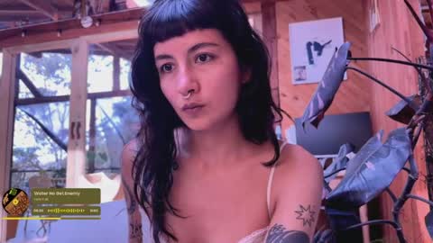 Snapshot of nina_just chatting on 05/11/26, 07:44 Nina. online show from 05/11/26, 07:44