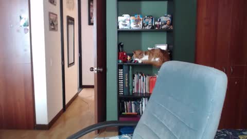 Nina Moon online show from 12/03/25, 08:07