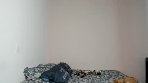  Nina  online show from 11/22/25, 08:41