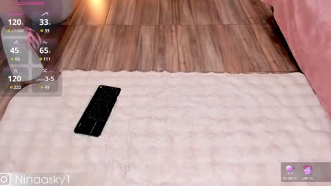 Snapshot of ninaa_sky chatting on 12/11/24, 04:09 online show from 12/11/24, 04:09