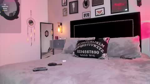 Alisson online show from 02/08/26, 08:01