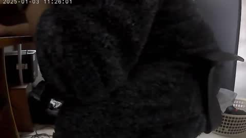 nineinchhard online show from 01/03/25, 11:25