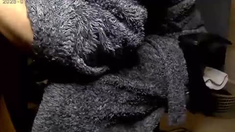 nineinchhard online show from 01/06/25, 06:47