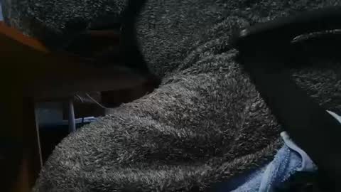 nineinchhard online show from 01/23/25, 10:22