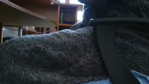 nineinchhard online show from 03/06/25, 10:20