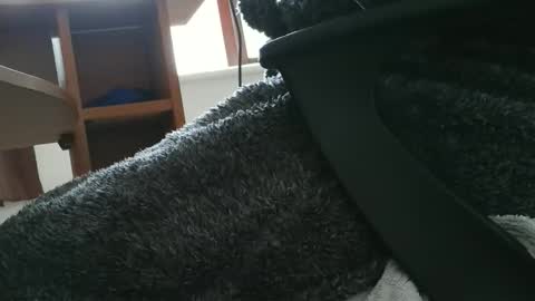 nineinchhard online show from 10/30/25, 10:49