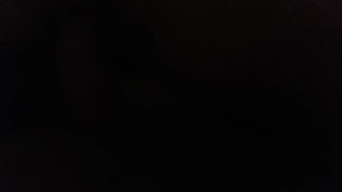 Snapshot of ninjadance chatting on 12/02/24, 11:01 Ninjadance online show from 12/02/24, 11:01