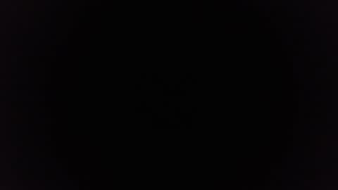 Snapshot of ninjadance chatting on 12/29/24, 11:29 Ninjadance online show from 12/29/24, 11:29