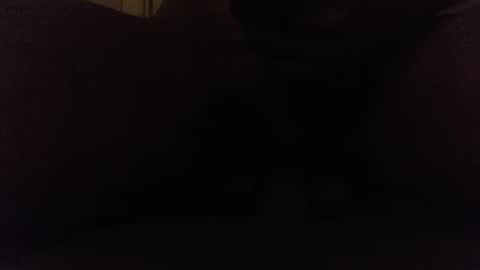 Snapshot of ninjadance chatting on 10/08/25, 08:12 Ninjadance online show from 10/08/25, 08:12