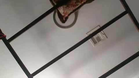 Snapshot of nipplechaser chatting on 01/18/25, 05:37 nipplechaser online show from 01/18/25, 05:37