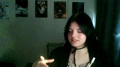 Snapshot of nishazenisek chatting on 04/25/26, 03:20 Alice online show from 04/25/26, 03:20